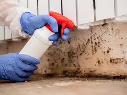 Best Biohazard Mold Removal  in Frazeysburg, OH